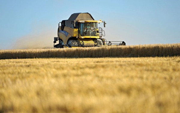 agrobusiness e